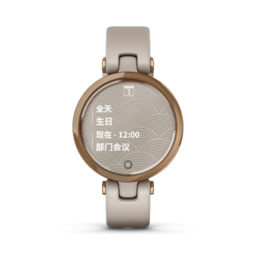 Garmin佳明布局女性市場(chǎng)，攜新品Lily優(yōu)雅腕表上市