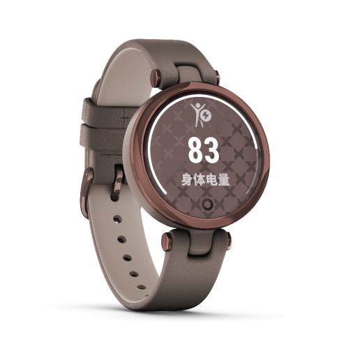 Garmin佳明布局女性市場(chǎng)，攜新品Lily優(yōu)雅腕表上市