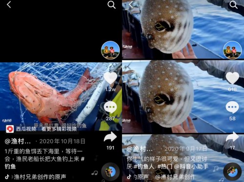 廣東“漁村兄弟”抖音追夢(mèng)，靠拍海釣短視頻買房買車