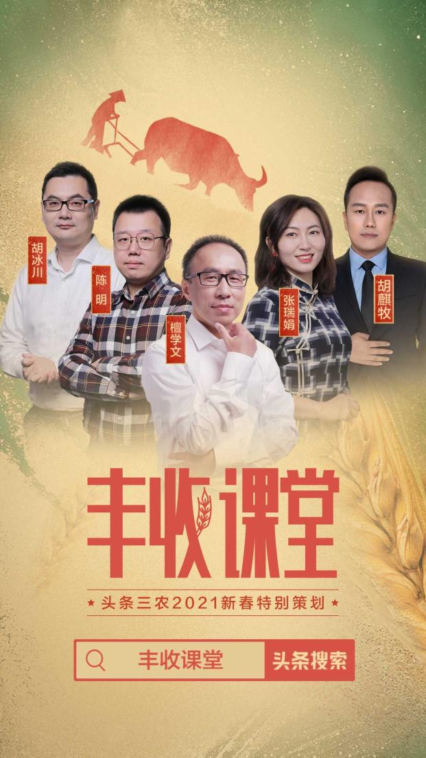 聚焦2020年度三農(nóng)關(guān)鍵詞，頭條上線新春特別策劃《豐收課堂》