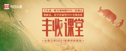 聚焦2020年度三農(nóng)關(guān)鍵詞，頭條上線新春特別策劃《豐收課堂》