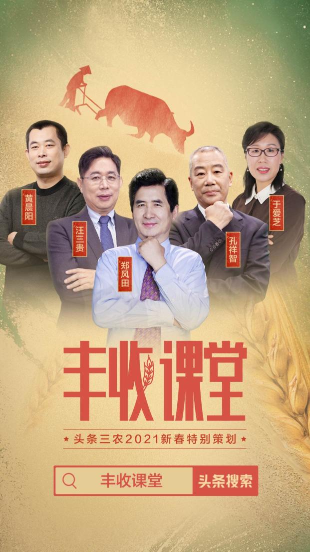 聚焦2020年度三農(nóng)關(guān)鍵詞，頭條上線新春特別策劃《豐收課堂》