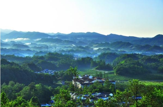 就地過(guò)年：這樣過(guò)出新鮮感！