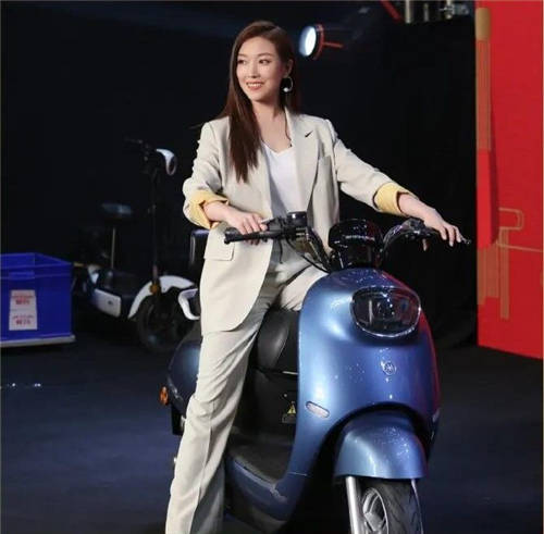行業(yè)洞見：2020年電動車銷量排行，愛瑪憑實(shí)力榜上爭鳴！