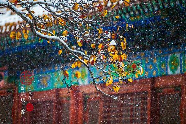 國(guó)潮當(dāng)?shù)?，美圖用傳統(tǒng)文化俘獲“后浪”