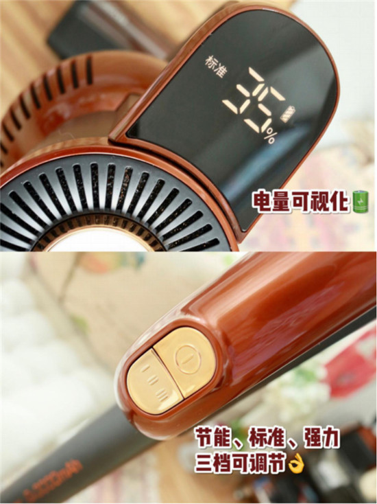 輕便吸力大，除螨還殺菌，萊克立式吸塵器讓妹紙都愛它