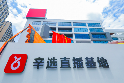 辛巴透露辛選2021年規(guī)劃和調(diào)整方向：規(guī)范化、專業(yè)化、去辛巴化
