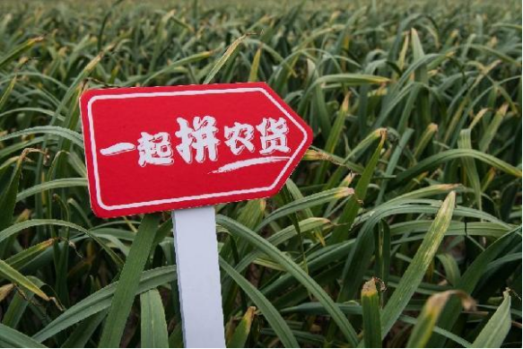 年豐大當(dāng)家：為了每個(gè)家庭的品質(zhì)生活！