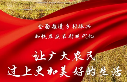 鄉(xiāng)村振興 如何破局？ 廣藥集團旗下王老吉刺檸吉交出這樣一份答卷
