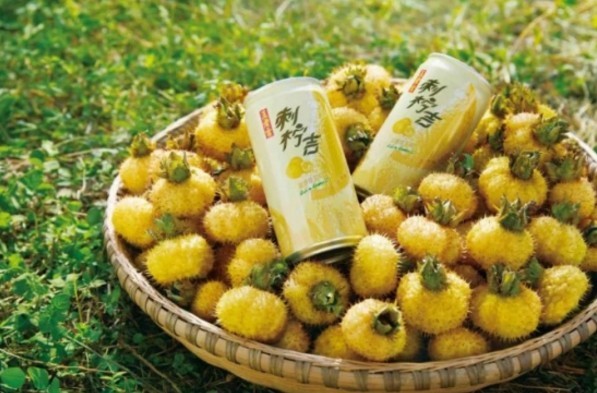 廣藥集團(tuán)對口幫扶貴州刺梨產(chǎn)業(yè)，受益刺梨農(nóng)戶超21.7萬人