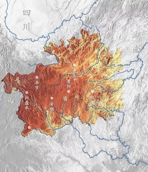 刺梨果變致富果 廣藥集團李楚源：產(chǎn)業(yè)振興是鄉(xiāng)村振興的關鍵