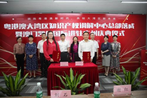 澳門凱旋國際集團總裁王愛民：共創(chuàng)粵港澳大灣區(qū)知識產(chǎn)權(quán)新未來