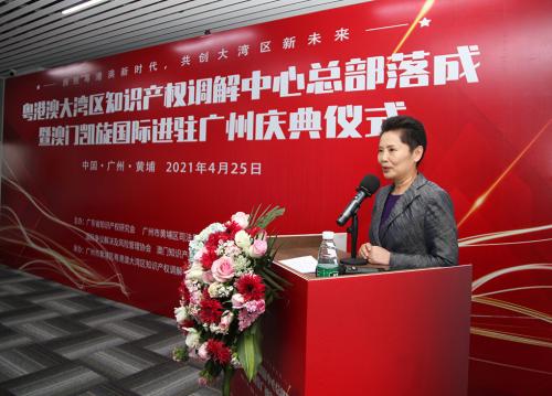 澳門凱旋國際集團總裁王愛民：共創(chuàng)粵港澳大灣區(qū)知識產(chǎn)權(quán)新未來