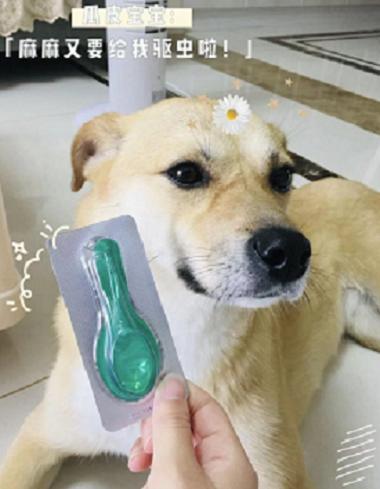 寵物驅(qū)蟲必備！體外驅(qū)蟲看小寵虱敵
