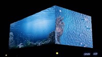 利亞德助力文化與科技交融，裸眼3D顯示屏打造絕美夜景