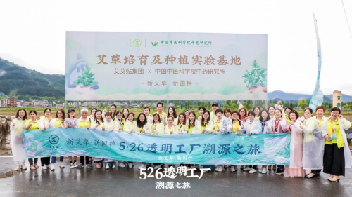 艾艾貼：526透明工廠溯源之旅，感受艾灸文化，體驗養(yǎng)生國潮