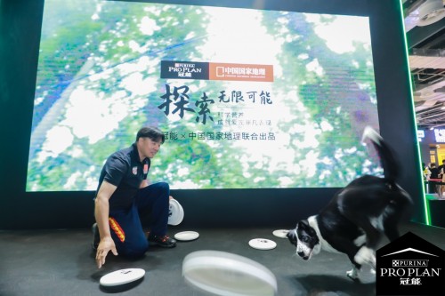 雀巢冠能攜手小米智能生態(tài)營銷，共同探索智能養(yǎng)寵新時代