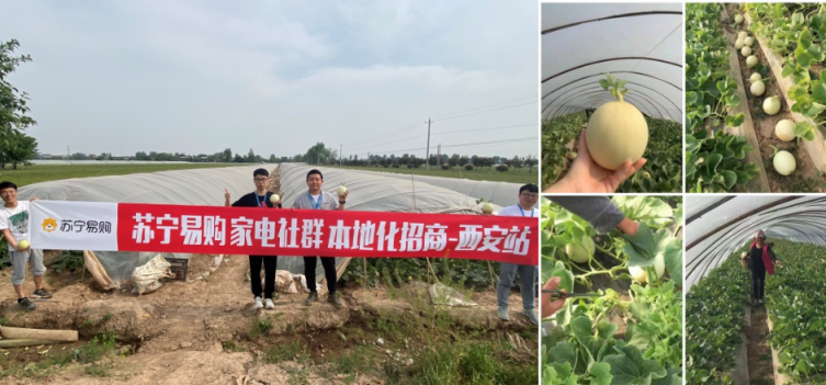 產(chǎn)地直采只要9.9，質(zhì)量力壓拼多多，揭秘蘇寧618“九九購物節(jié)”