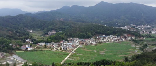 上百個教學點難開藝術課？江西興國縣攜手希沃錄播：全部安排！