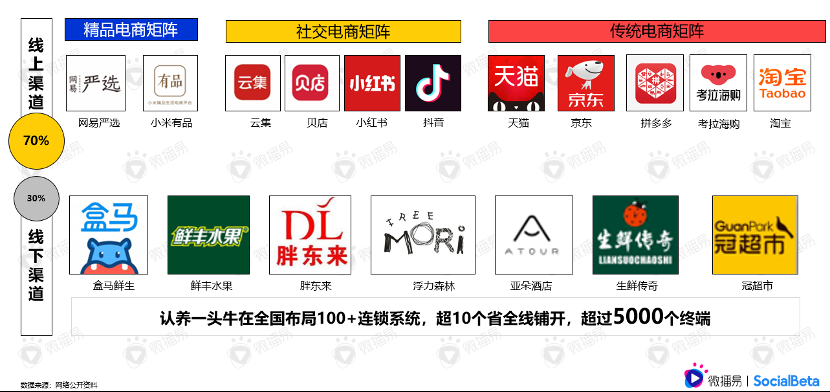 還在羨慕別人的現(xiàn)象級營銷？先從社媒投放趨勢找答案