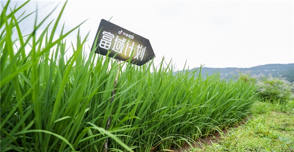抖音電商“富域計劃”攜三農(nóng)達人助農(nóng)培訓，助力鄉(xiāng)村振興