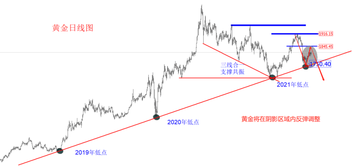 金十訪談間：7月22日領(lǐng)峰里昂老師，聚焦歐美縮表！