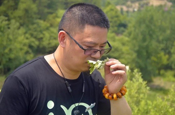 灸大夫捐贈價值300萬中醫(yī)艾灸設(shè)備，馳援河南災(zāi)后防疫！