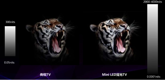 小中見(jiàn)大，TCL Mini LED技術(shù)淺析