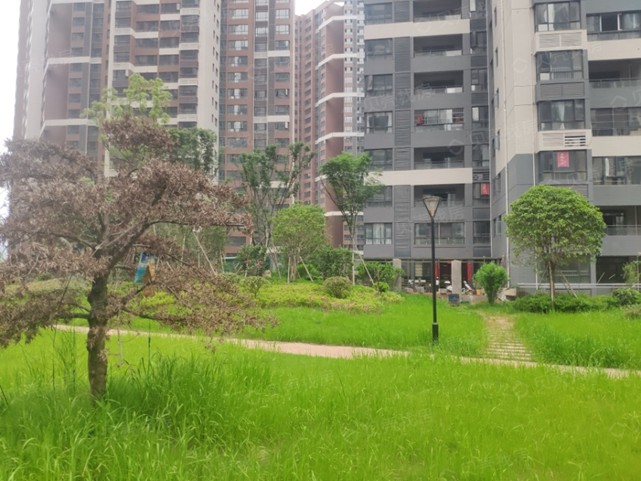 新星宇控股：人性化家居細節(jié)，盛放生活美好