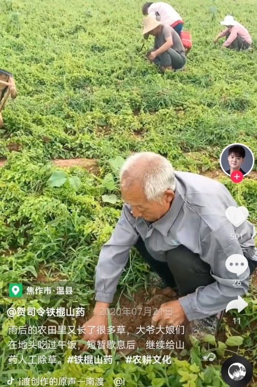 94年白領(lǐng)抖音電商賣山藥日銷萬(wàn)斤，他想和鄉(xiāng)親們走向共同富裕