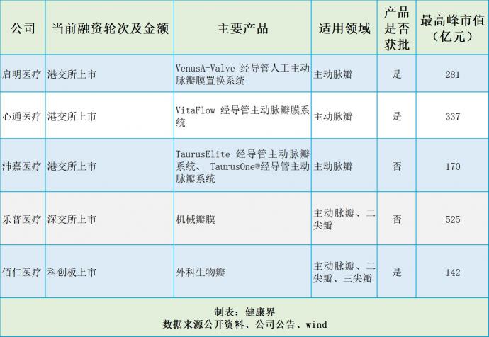 捍宇醫(yī)療“沖浪”TMVR黃金賽道，174億美元規(guī)模群雄逐鹿