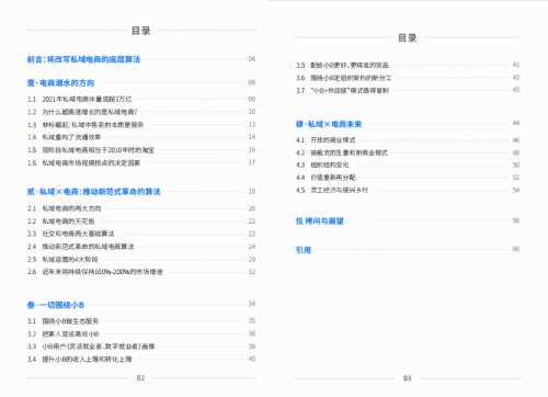 做興趣電商的抖音，做電商AI SaaS的鯨靈集團蜂享家，他們的私域白皮書有何不同？