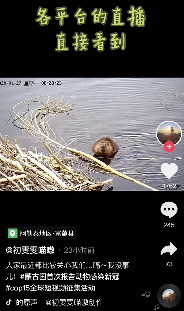 90后女孩大學(xué)畢業(yè)返鄉(xiāng)與野生動(dòng)物為伴，在抖音獲贊百萬(wàn)