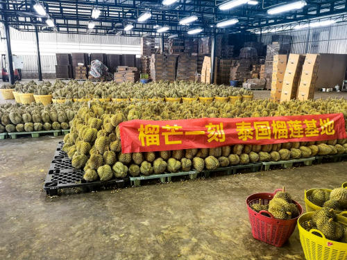 我們到底需要怎樣的品牌？VTN對話四大“人氣品牌”