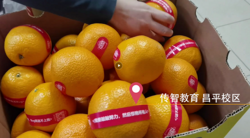 傳智教育1024程序員節(jié)，全國(guó)各校區(qū)“橙心誠(chéng)意”邀你一起嗨