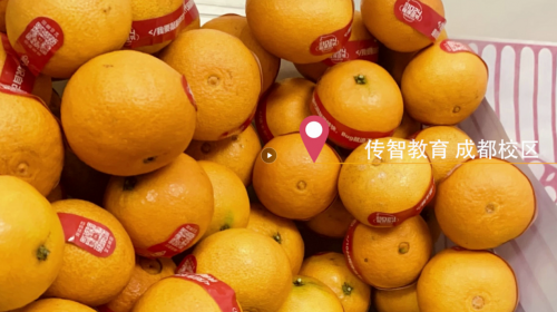 傳智教育1024程序員節(jié)，全國(guó)各校區(qū)“橙心誠(chéng)意”邀你一起嗨