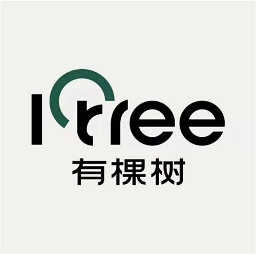 獨立自我的Z世代VS舒適無拘束的有棵樹，一拍即合
