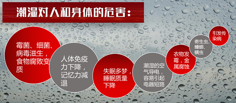 家用除濕機(jī)哪個(gè)品牌值得買？哪個(gè)型號(hào)性價(jià)比高？
