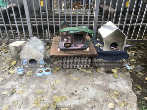 部落沖突聯(lián)合PETKIT小佩安置高校流浪貓屋，呼吁保護(hù)流浪動(dòng)物