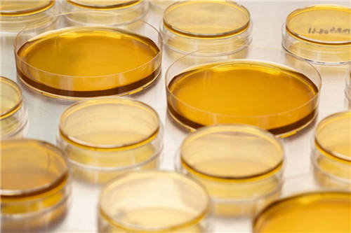 成人益生菌哪種好？迪輔樂用品質(zhì)贏得百萬消費(fèi)者信賴