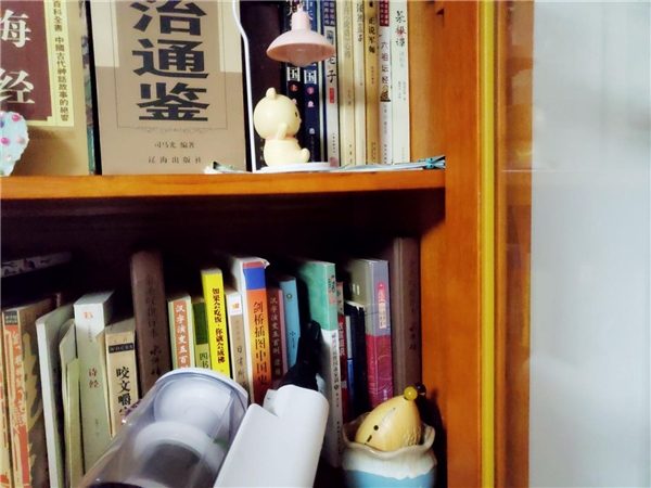 無線吸塵器什么牌子好？分享一款綜合實力不俗的明星產(chǎn)品