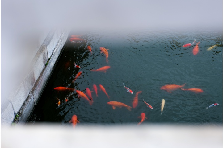 當(dāng)松下S5邂逅故宮，這次拍點(diǎn)不一樣的