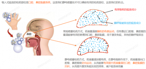 2021年度十大流行語發(fā)布！橙色云參與了這些跨界項(xiàng)目