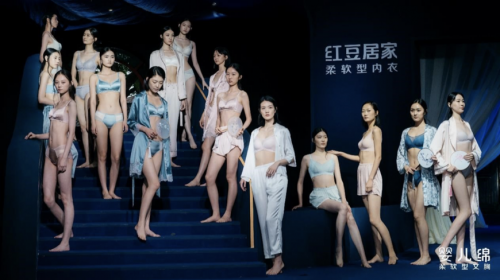 從老牌國(guó)貨到新生國(guó)潮 鴻道戰(zhàn)略定位助力紅豆集團(tuán)青春歸來(lái)