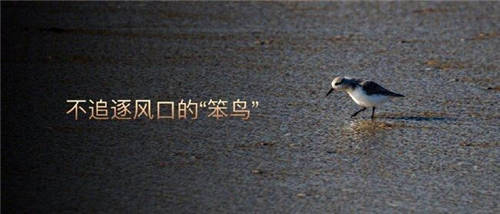 榮耀平板V7 Pro榮耀加冕中關(guān)村在線年度觀察“ZOL推薦”獎(jiǎng)項(xiàng)