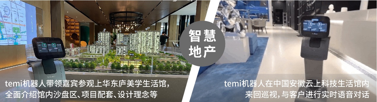 洞見智能：新格局、新活力、新突破，temi穩(wěn)步發(fā)展