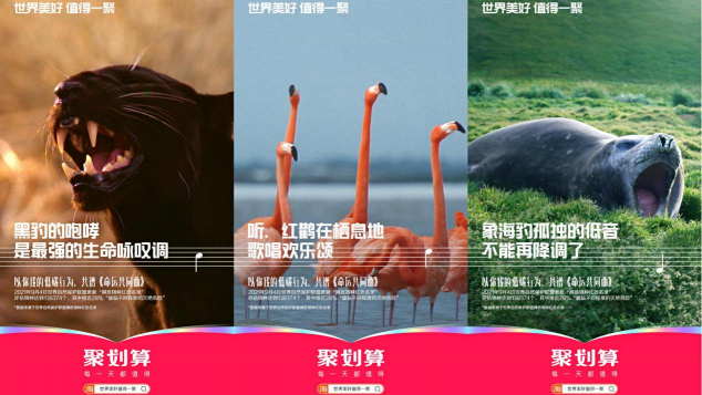 保護生物多樣性，聚劃算奏響命運共同體最強音