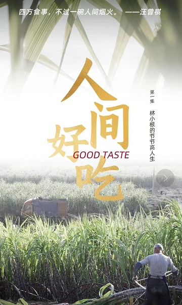 叮咚買菜“青山綠水”計(jì)劃助力鄉(xiāng)村振興，蔗農(nóng)林小根忙碌且幸福