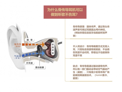 骨傳導(dǎo)耳機(jī)真的能保護(hù)耳朵和聽力嗎？骨傳導(dǎo)耳機(jī)原理科普及分析