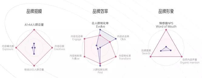 拆解280個新品牌后，我們發(fā)現(xiàn)了可復(fù)制的四招突圍